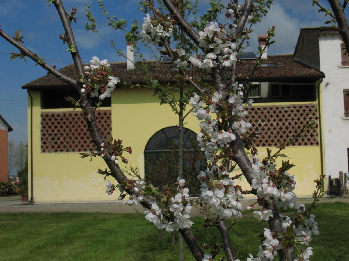 B&B Corte Cornalino Roverbella Exterior foto